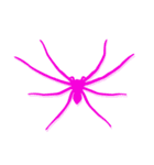 pink spider（個別スタンプ：1）