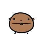 ムッチ（個別スタンプ：1）