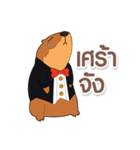 ジョーイのプレーリードッグ（個別スタンプ：22）