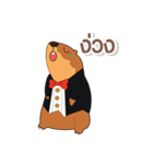 ジョーイのプレーリードッグ（個別スタンプ：25）