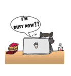 CoonCat（個別スタンプ：17）
