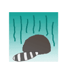 CoonCat（個別スタンプ：20）