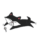 CoonCat（個別スタンプ：24）