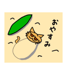 ネコサーファー（個別スタンプ：40）