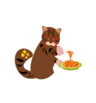 餃子猫（個別スタンプ：4）