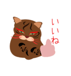 餃子猫（個別スタンプ：5）