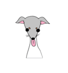 かわいい 犬 日本テリア もみちゃん（個別スタンプ：11）