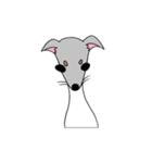 かわいい 犬 日本テリア もみちゃん（個別スタンプ：13）