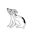 かわいい 犬 日本テリア もみちゃん（個別スタンプ：28）