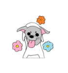 かわいい 犬 日本テリア もみちゃん（個別スタンプ：30）