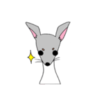 かわいい 犬 日本テリア もみちゃん（個別スタンプ：33）