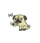 Puggy Pug Maruu（個別スタンプ：1）