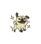 Puggy Pug Maruu（個別スタンプ：5）