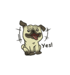 Puggy Pug Maruu（個別スタンプ：10）