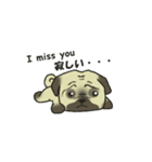 Puggy Pug Maruu（個別スタンプ：13）