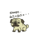 Puggy Pug Maruu（個別スタンプ：15）