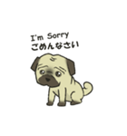 Puggy Pug Maruu（個別スタンプ：21）