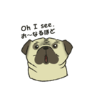 Puggy Pug Maruu（個別スタンプ：33）