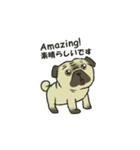 Puggy Pug Maruu（個別スタンプ：37）