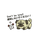 Puggy Pug Maruu（個別スタンプ：40）