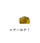 伊予弁タヌキのほやけんよ！（吹き出し）（個別スタンプ：24）