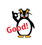 Days of penguins（個別スタンプ：6）