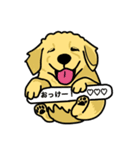 ゴールデンレトリバーの毎日（個別スタンプ：2）