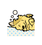ゴールデンレトリバーの毎日（個別スタンプ：32）