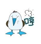 Blue-footed birds（個別スタンプ：5）