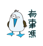 Blue-footed birds（個別スタンプ：8）