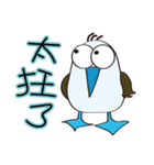 Blue-footed birds（個別スタンプ：19）