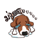 Sticky Beagle（個別スタンプ：3）