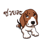 Sticky Beagle（個別スタンプ：5）