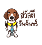 Sticky Beagle（個別スタンプ：7）