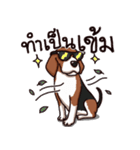 Sticky Beagle（個別スタンプ：13）
