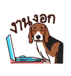 Sticky Beagle（個別スタンプ：14）