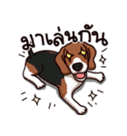 Sticky Beagle（個別スタンプ：19）