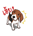 Sticky Beagle（個別スタンプ：24）