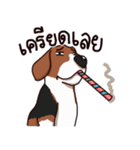 Sticky Beagle（個別スタンプ：26）