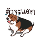 Sticky Beagle（個別スタンプ：31）