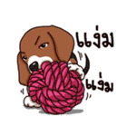 Sticky Beagle（個別スタンプ：35）