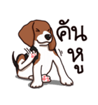 Sticky Beagle（個別スタンプ：36）