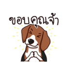 Sticky Beagle（個別スタンプ：38）