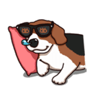 Sticky Beagle（個別スタンプ：39）