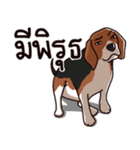 Sticky Beagle（個別スタンプ：40）