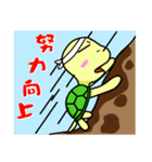 Vitality turtle adventure every day（個別スタンプ：29）