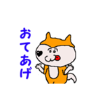 日本 柴犬 11（個別スタンプ：8）