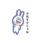 充血しがちなうさぎ（個別スタンプ：17）