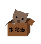 Meng Wombat（個別スタンプ：20）