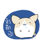 Exercisebear: bear and corgi（個別スタンプ：40）